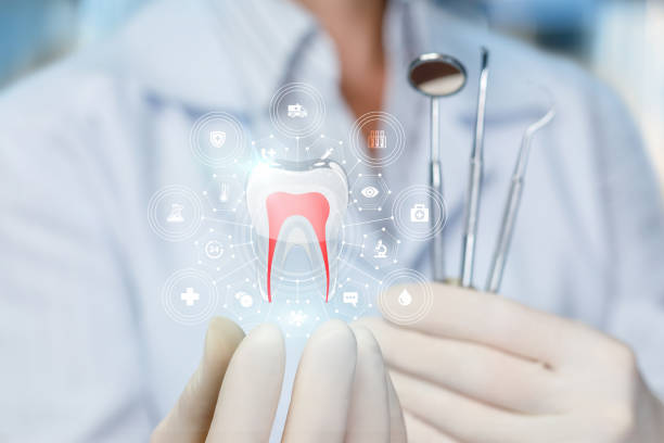 Best Dental Exams and Cleanings  in Clinton, WA